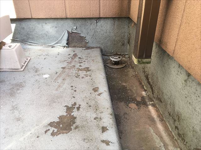 排水溝周りの確認